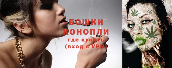 молекула духа Михайлов