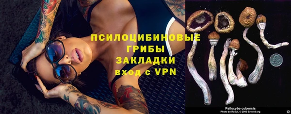 mdpv Анива
