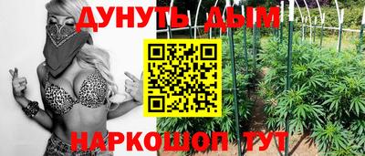 индика Волгодонск