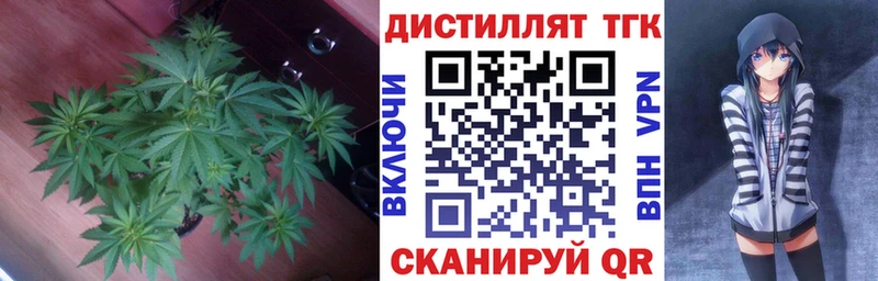 ссылка на мегу онион  Дюртюли  Дистиллят ТГК гашишное масло  цены  