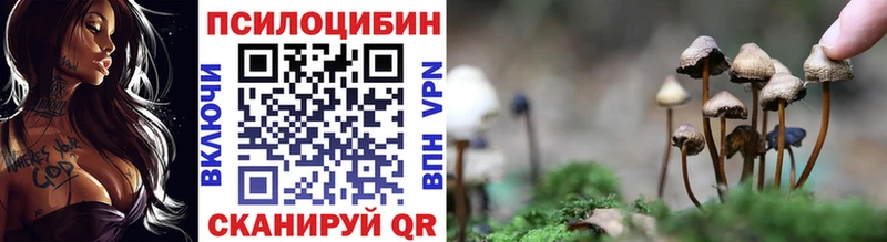 Галлюциногенные грибы GOLDEN TEACHER  Дюртюли 