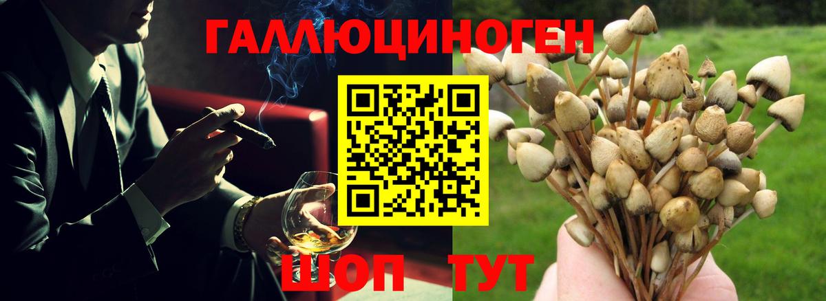 Галлюциногенные грибы ЛСД  Псилоцибиновые грибы Psilocybine cubensis  Вход с VPN  цена   Дюртюли 