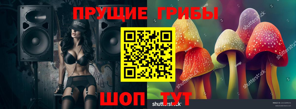 Псилоцибиновые грибы GOLDEN TEACHER Дюртюли