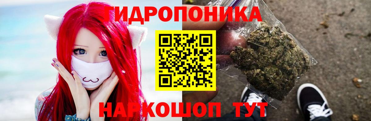 Марихуана Amnesia  Дюртюли  Шишки марихуана Bruce Banner 